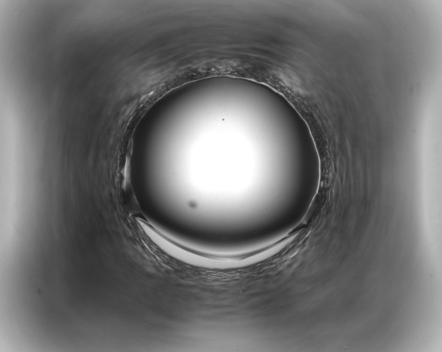 X0000086891109200704300951