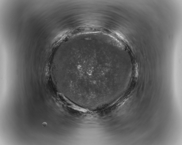 X0000086891110200704300951