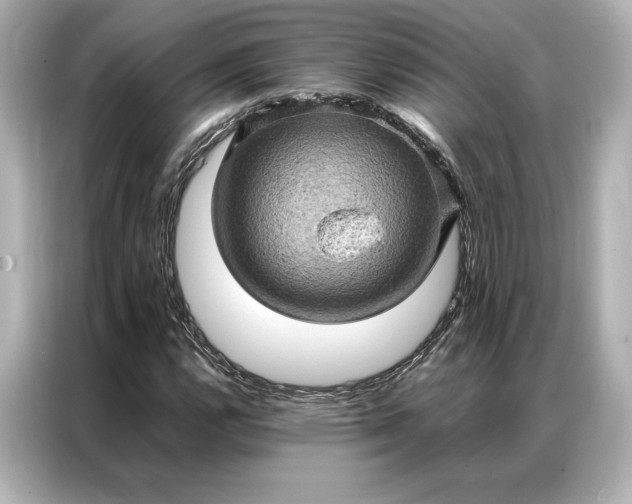 X0000086891112200704300951