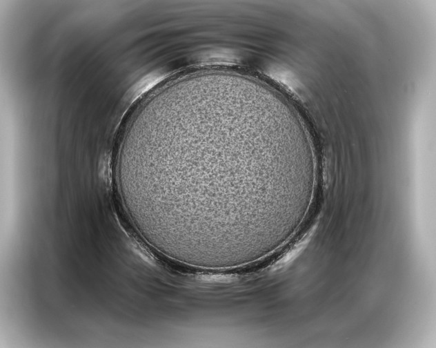 X0000086891113200704300951