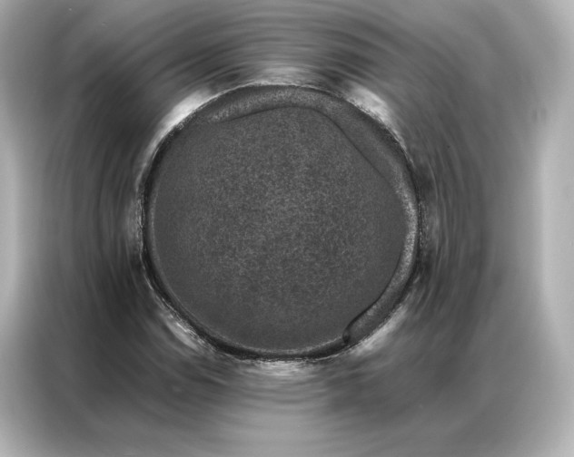 X0000086891114200704300951