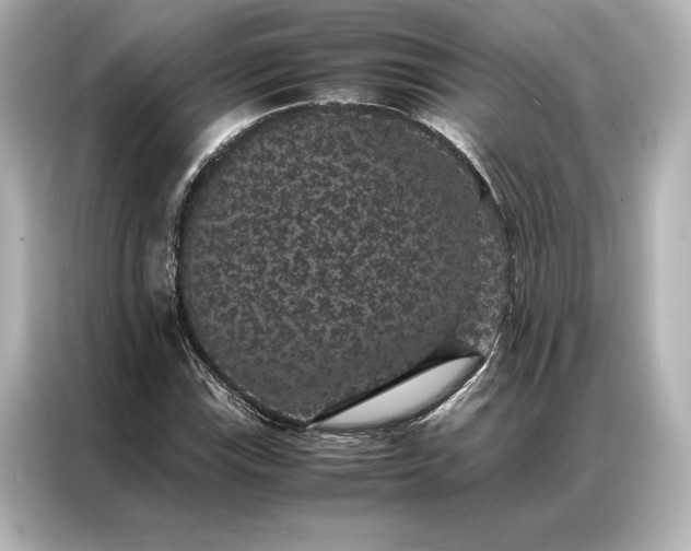 X0000086891115200704300951