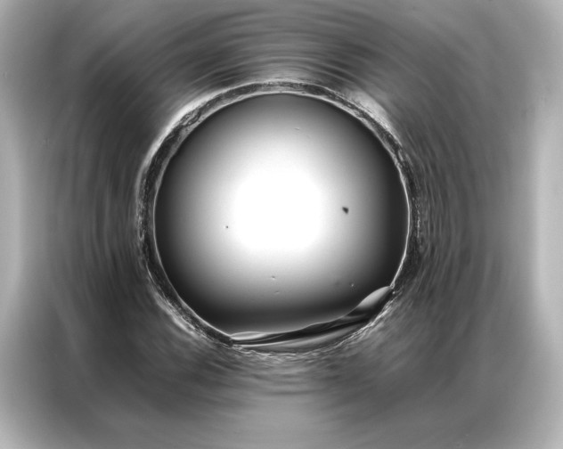 X0000086891116200704300951