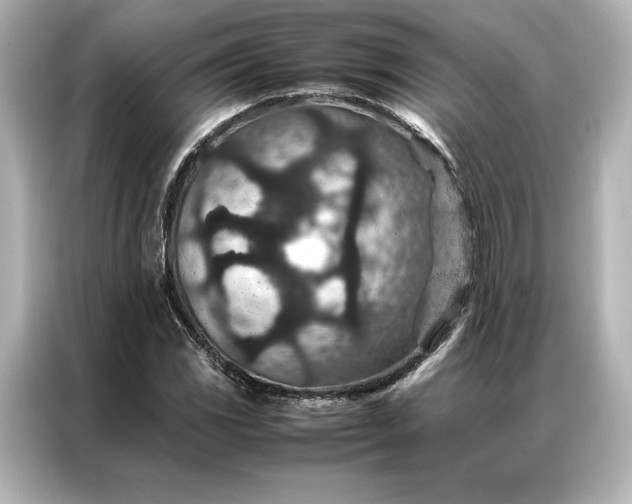 X0000086891117200704300951