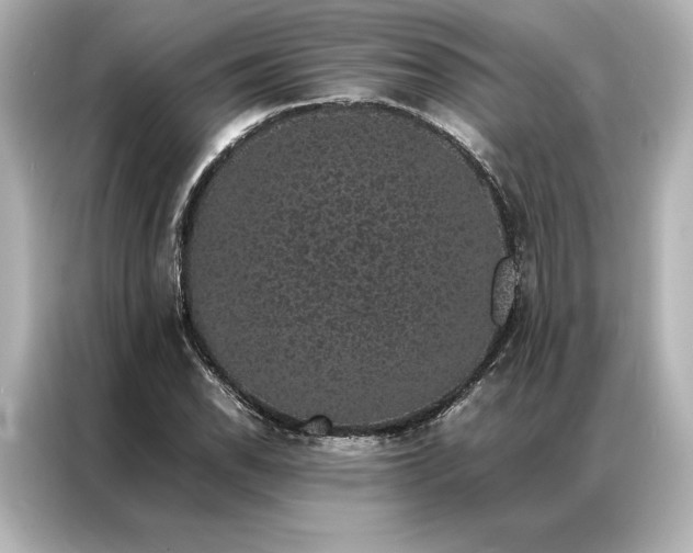 X0000086891118200704300951