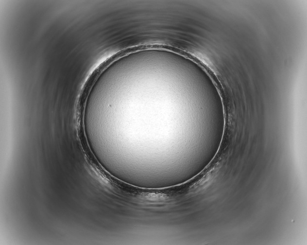 X0000086891119200704300951