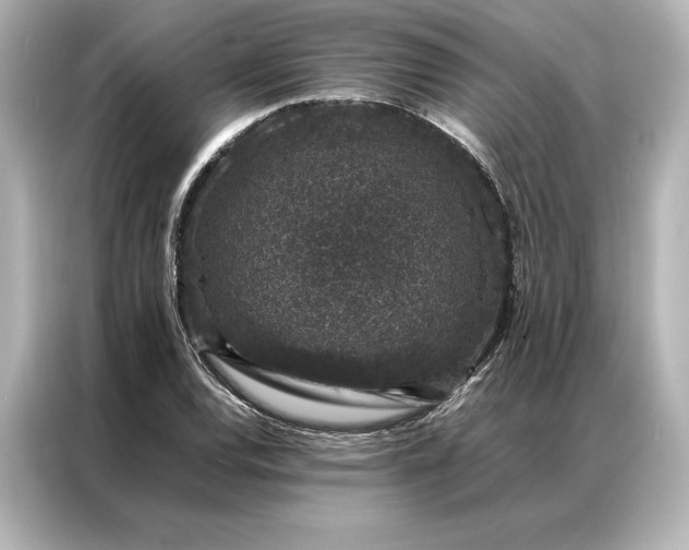 X0000086891120200704300951