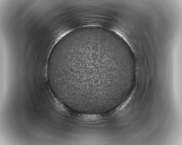 X0000086891121200704300951