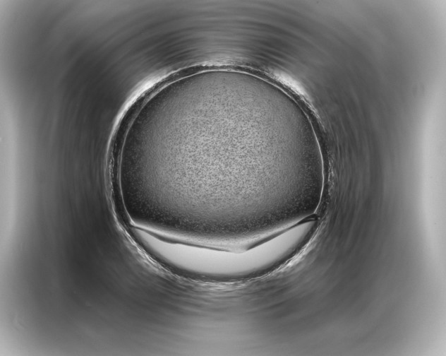 X0000086891122200704300951