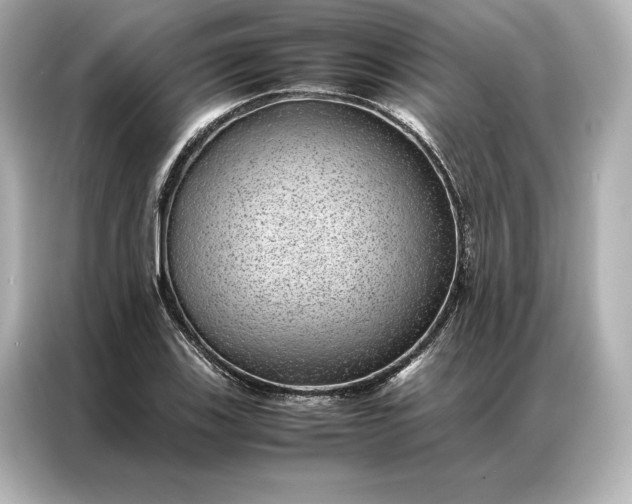 X0000086891123200704300951