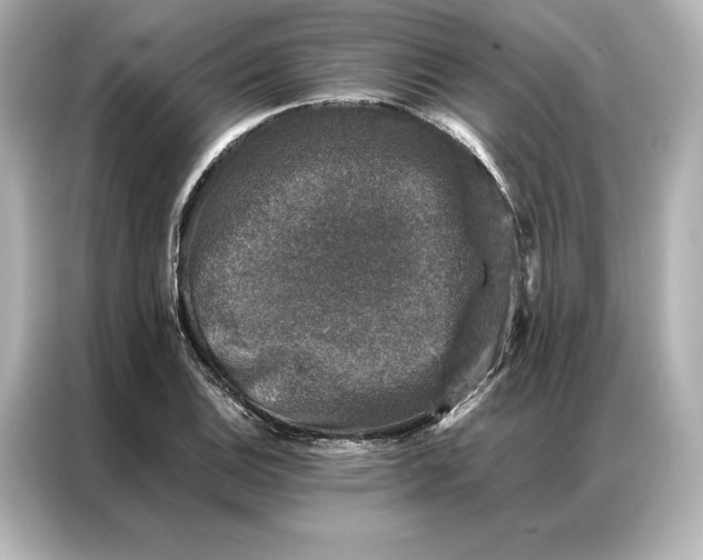 X0000086891124200704300951