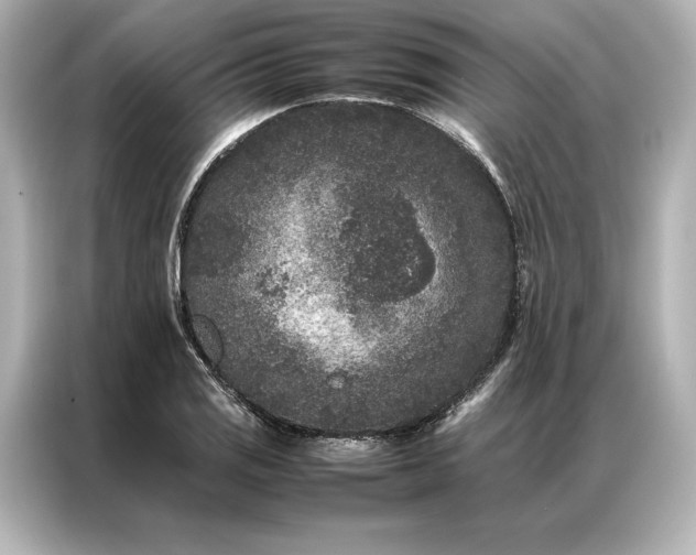 X0000086891125200704300951