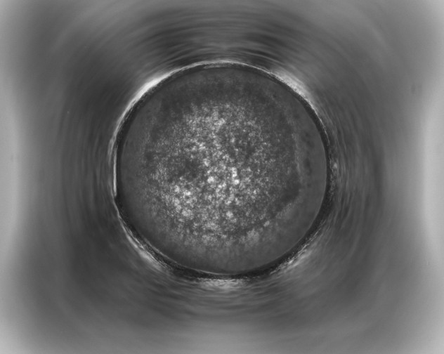 X0000086891127200704300951