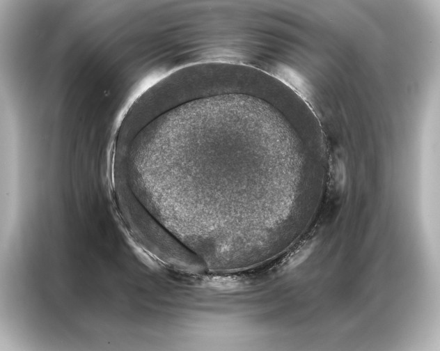 X0000086891128200704300951