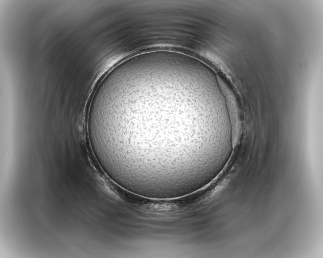 X0000086891129200704300951