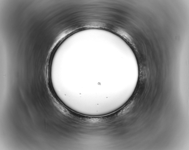 X0000086891130200704300951