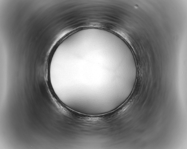 X0000086891131200704300951