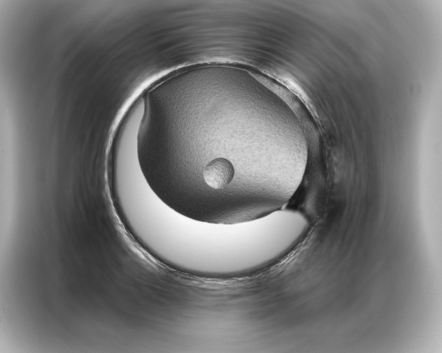 X0000086891132200704300951