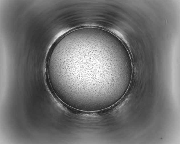 X0000086891133200704300951