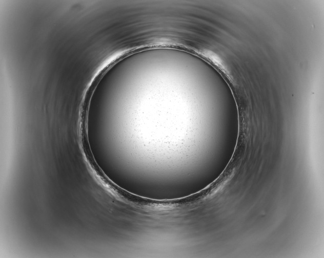 X0000086891134200704300951