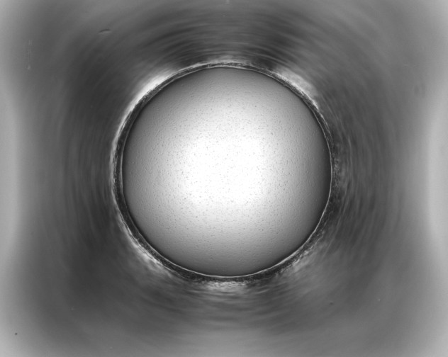 X0000086891135200704300951