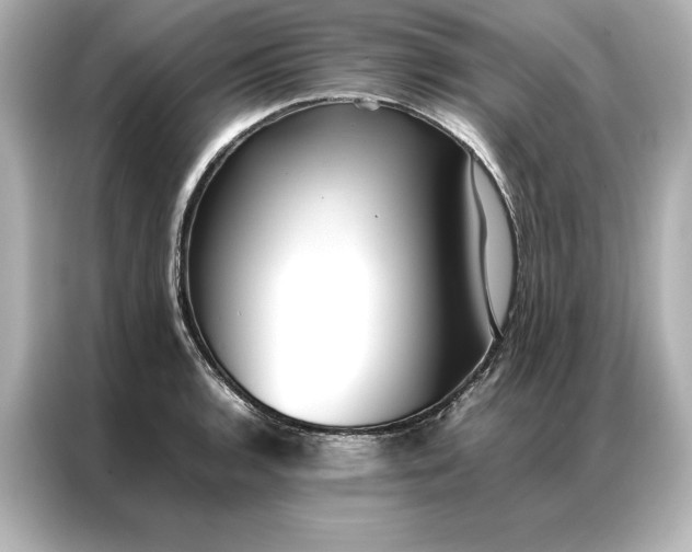 X0000086891136200704300951