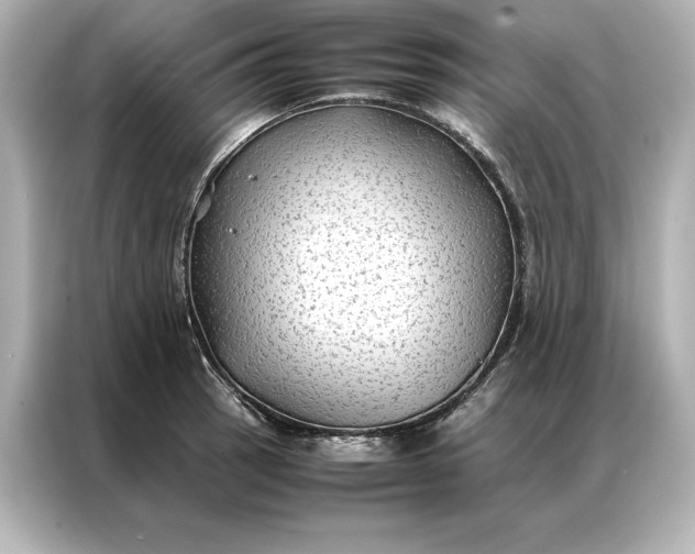 X0000086891137200704300951