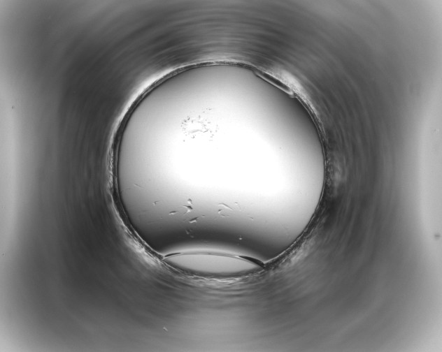 X0000086891140200704300951