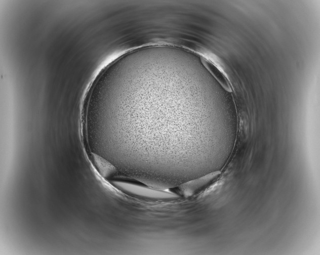 X0000086891143200704300951