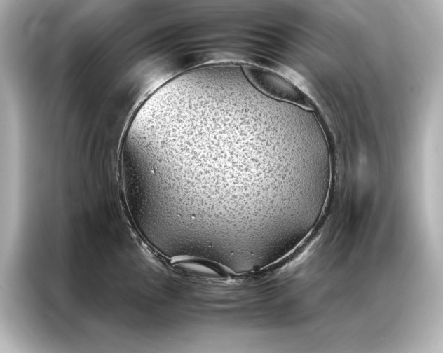 X0000086891145200704300952