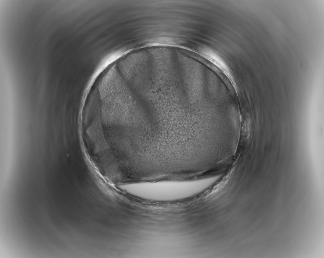 X0000086891146200704300952