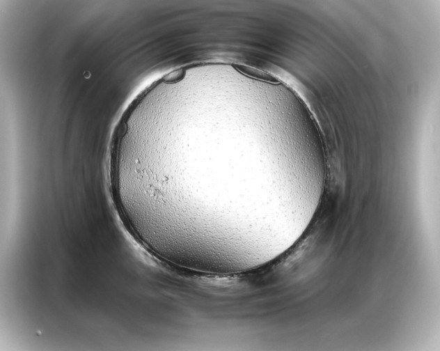 X0000086891147200704300952