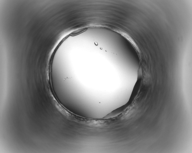 X0000086891148200704300952