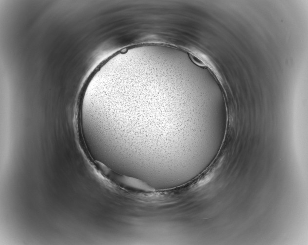 X0000086891149200704300952