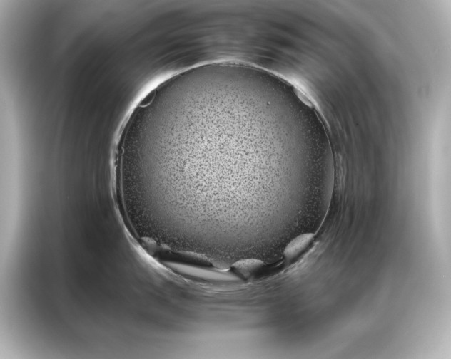 X0000086891151200704300952