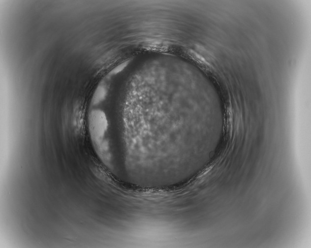 X0000086891154200704300951