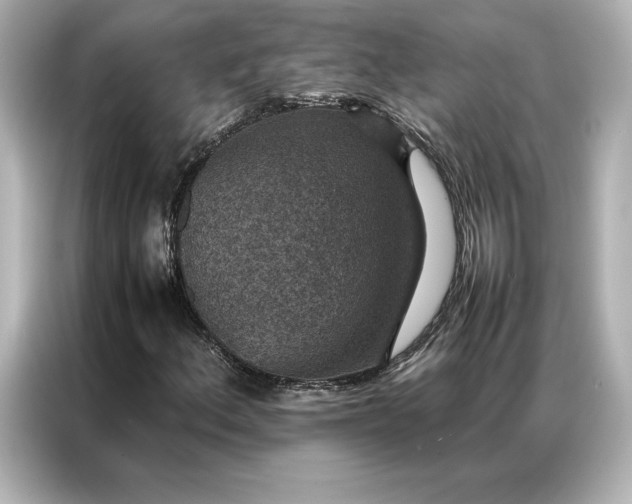 X0000086891156200704300951