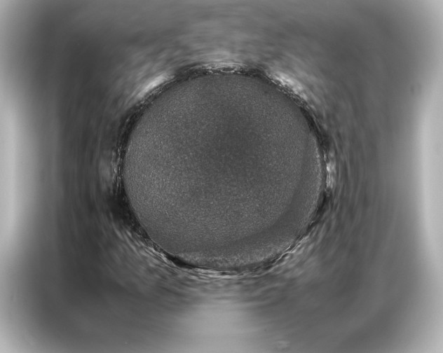 X0000086891157200704300951