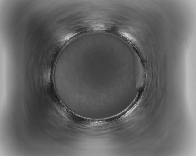 X0000086891161200704300951