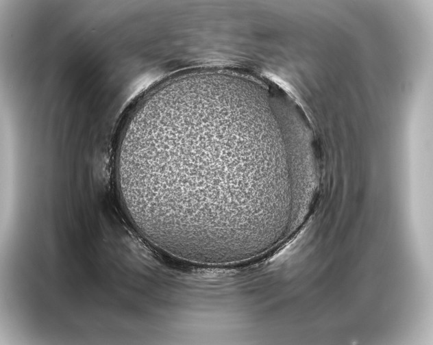 X0000086891163200704300951