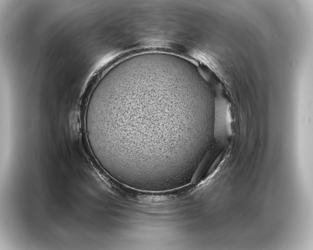 X0000086891164200704300951