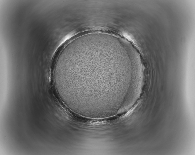 X0000086891165200704300951