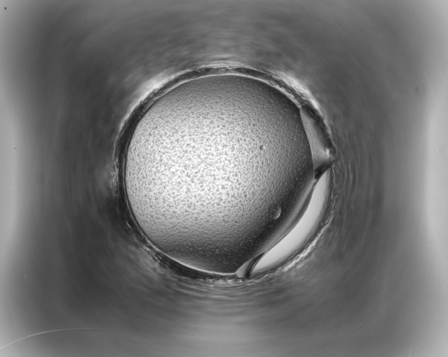 X0000086891167200704300951