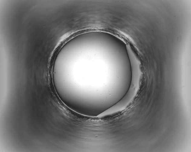 X0000086891168200704300951