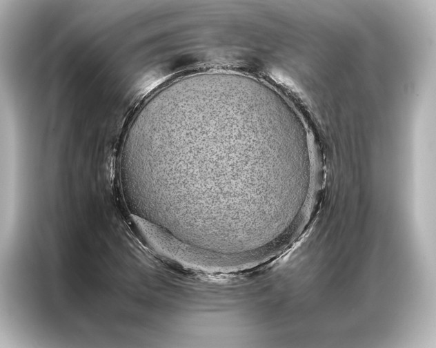 X0000086891169200704300951