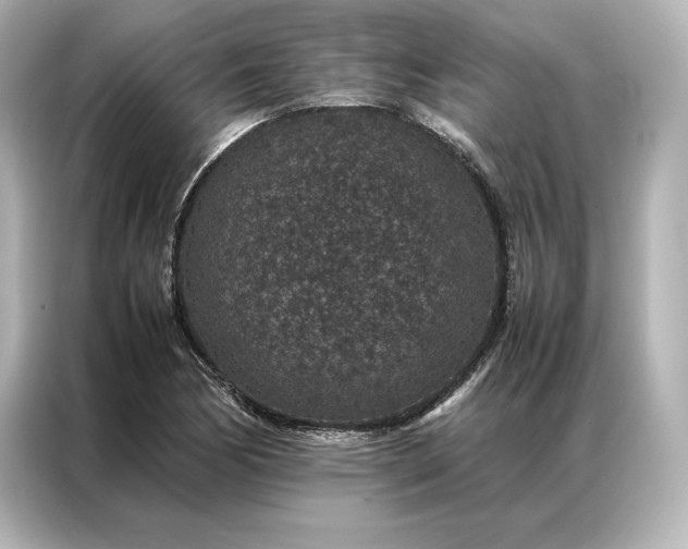 X0000086891170200704300951