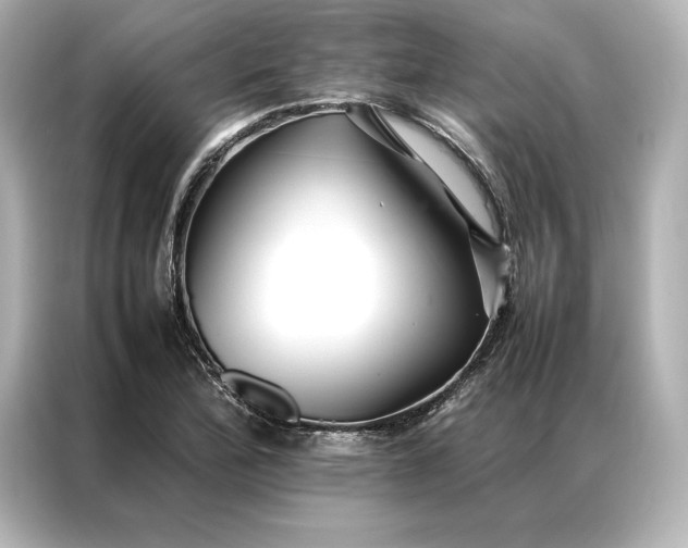 X0000086891172200704300951