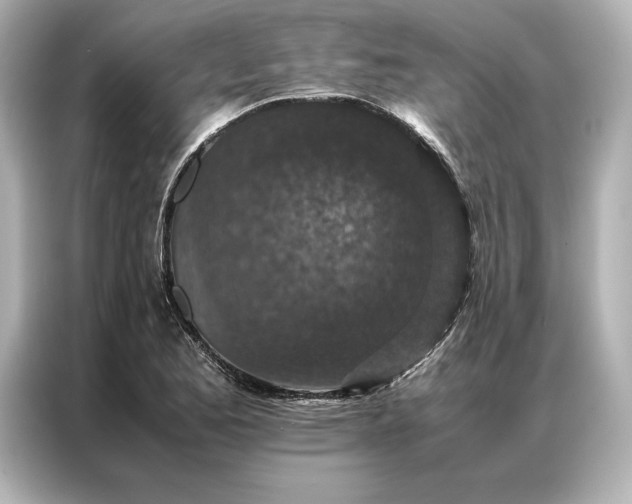 X0000086891173200704300951