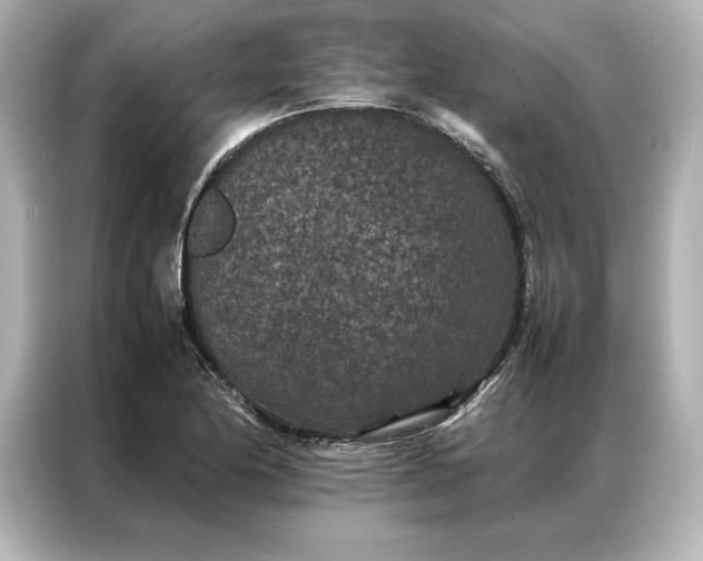 X0000086891174200704300951