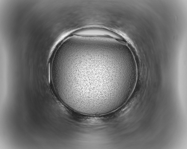 X0000086891175200704300951